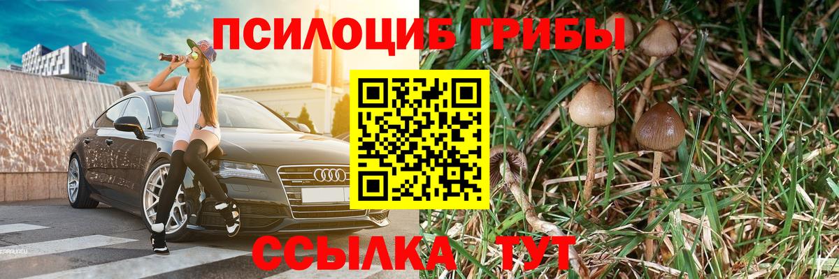 Псилоцибиновые грибы GOLDEN TEACHER Краснокамск