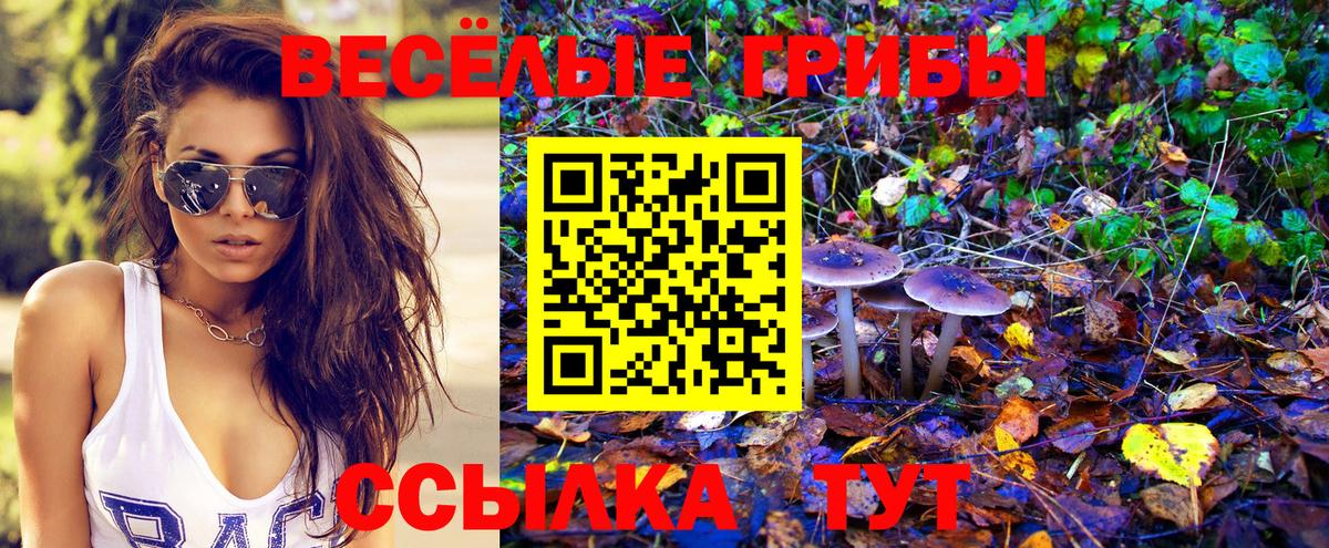 Галлюциногенные грибы Psilocybe  Вход с VPN  Краснокамск 